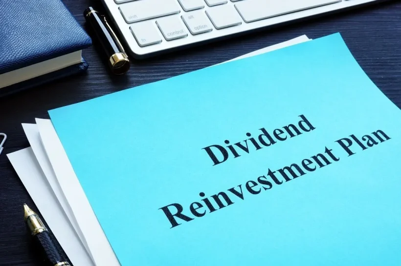 The Power of Dividend Reinvestment: Maximizing Long-Term Growth